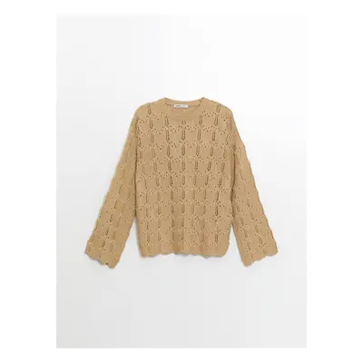 LC Waikiki LCW Crew Neck Openwork Women's Knitwear Sweater