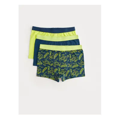 LC Waikiki Printed Boy's Boxer Set of