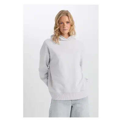 DEFACTO Relax Fit Hooded Thick Basic Plain Sweatshirt