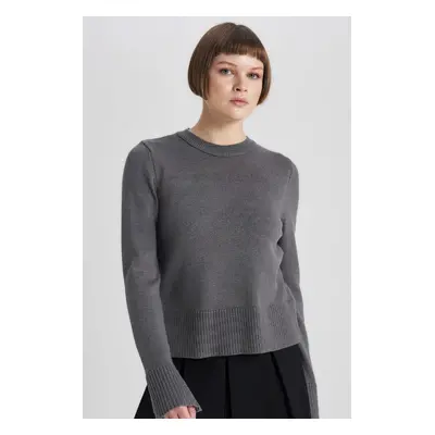 DEFACTO Regular Fit Crew Neck Sweater