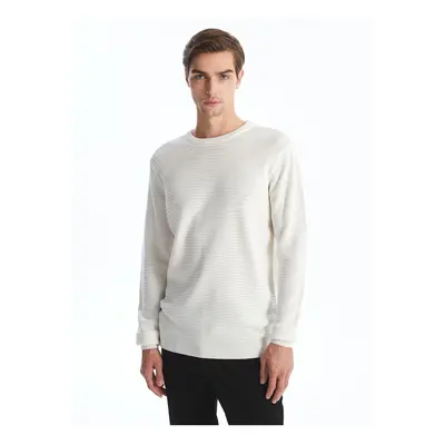 LC Waikiki Crew Neck Long Sleeve Men's Knitwear Sweater