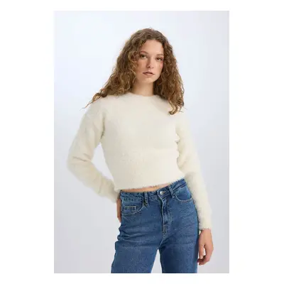 DEFACTO Regular Fit Crew Neck Knitwear Sweater