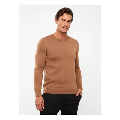 LC Waikiki Crew Neck Long Sleeve Men's Knitwear Sweater