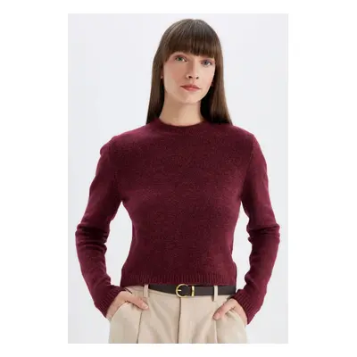 DEFACTO Regular Fit Crew Neck Premium Basic Plain Crop Knitwear Sweater