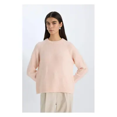 DEFACTO Regular Fit Crew Neck Knitwear Sweater