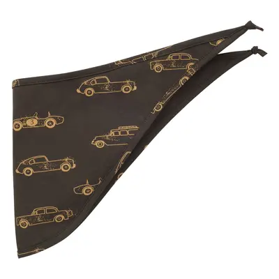 Pinokio Kids's Scarf Old Cars 1-02-2311-15