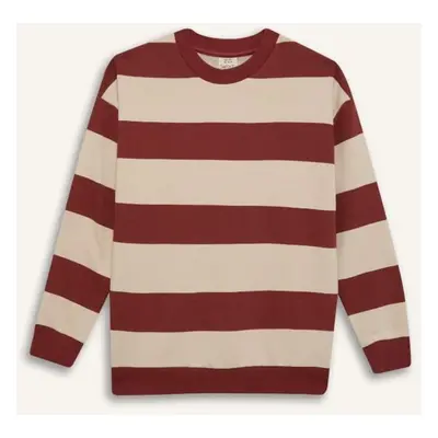 DEFACTO Boy Oversize Wide Pattern Crew Neck Striped Sweatshirt