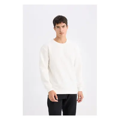 DEFACTO Regular Fit Crew Neck Jacquard Sweatshirt