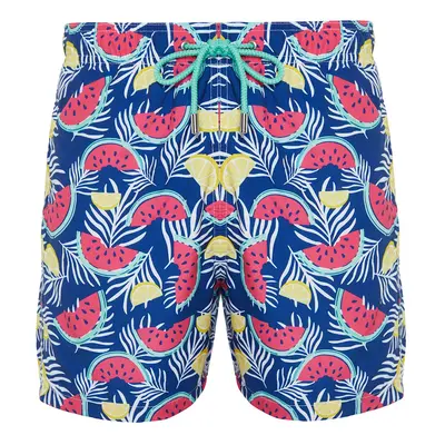 Trendyol Multi Color Standard Size Watermelon Print Swim Shorts