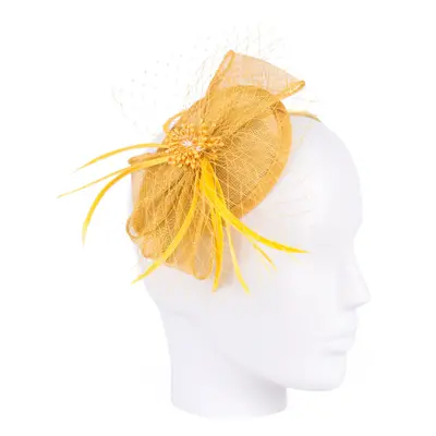 Art Of Polo Woman's Fascinator cz19587