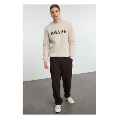 Trendyol Stone Oversize/Wide Cut Fleece Inside/Warm Text Embroidered Sweatshirt