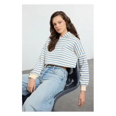 Trendyol Blue Striped Hooded Regular/Normal Pattern Knitted Sweatshirt