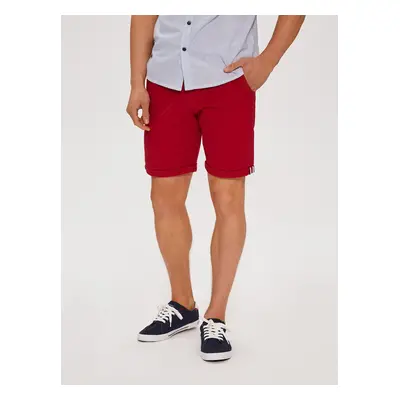 Diverse Men's shorts BERBET VII