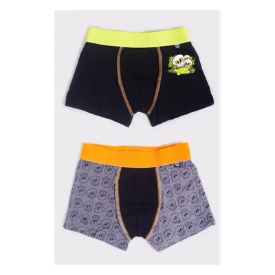 Yoclub Kids's 2Pack Boy's Boxer Briefs BMB-0015C-AA30