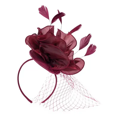 Art Of Polo Woman's Fascinator cz18578