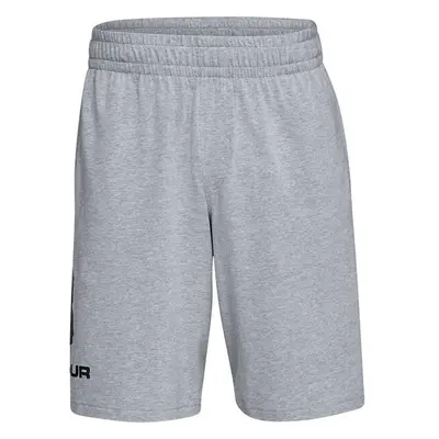 Pánské šortky Under Armour COTTON BIG LOGO SHORTS gray