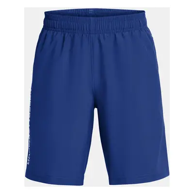 Under Armour Chlapecké kraťasy UA Tech Woven Wordmark Short - Kluci