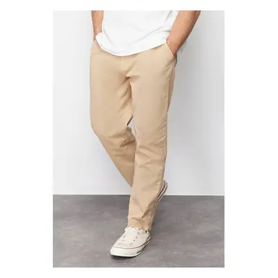 Trendyol Limited Edition Mink Regular Fit Pleat Detailed Soft Touch Chino Trousers