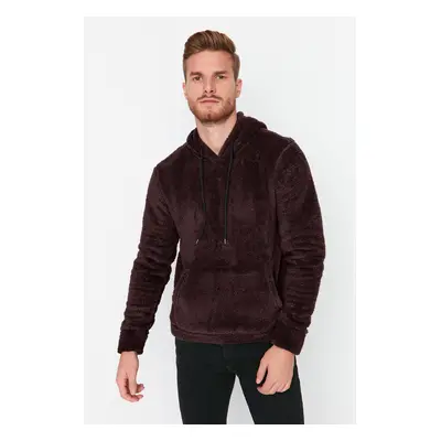 Trendyol Brown Regular/Normal Cut Hooded Warm Plush Sweatshirt