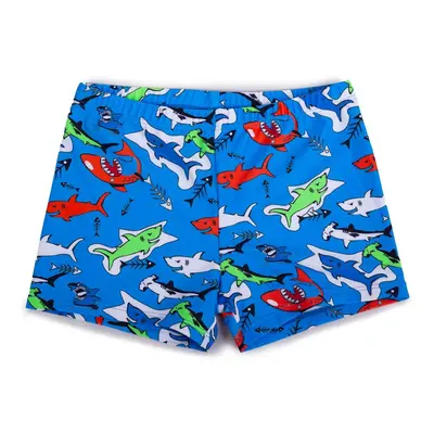 Yoclub Kids's Boys' Swimming Shorts LKS-0060C-A100