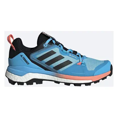 Dámské boty adidas Terrex Skychaser GTX W Blue