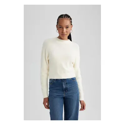 DEFACTO Regular Fit Half Turtleneck Knitwear Sweater