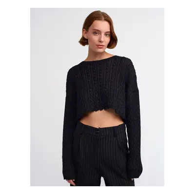 Dilvin Crew Neck Hair Braided Silvery Crop Knitwear-black