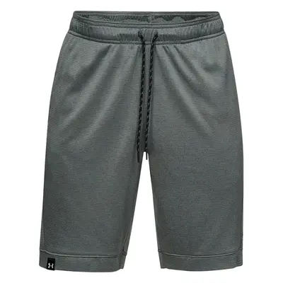 Pánské šortky Under Armour Lighter Longer Short