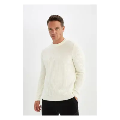 DEFACTO Standard Fit Regular Cut Crew Neck Jacquard Knitwear Sweater