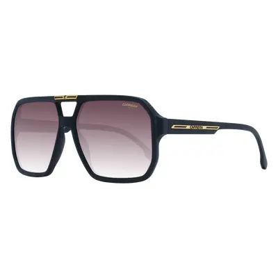 Carrera Sunglasses