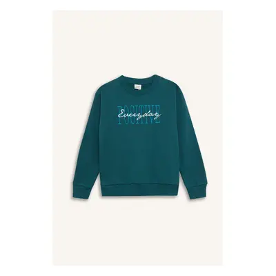 DEFACTO Boy's Crew Neck Printed Sweatshirt