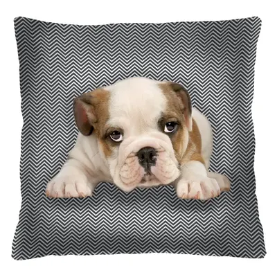 Bertoni Home Unisex's Square Pillow Niunio