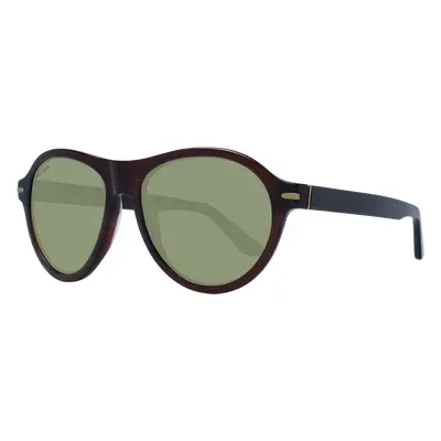 Serengeti Sunglasses