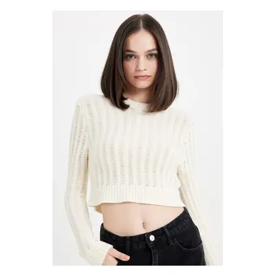 DEFACTO Regular Fit Crop Crew Neck Knitted Hole Knitwear Sweater