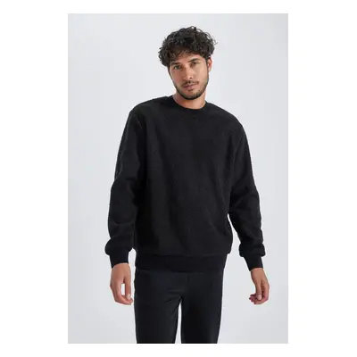 DEFACTO Regular Fit Crew Neck Basic Plain Plush Sweatshirt