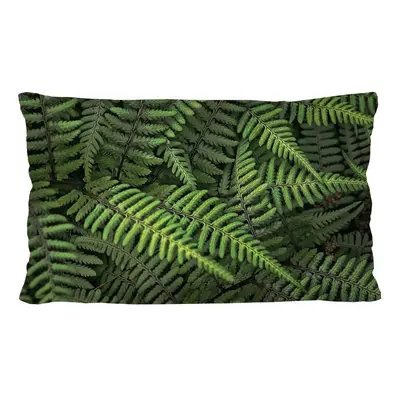 Bertoni Home Unisex's Rectangular Pillow Ferns