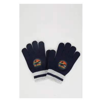 DEFACTO Boy Printed Knitted Gloves