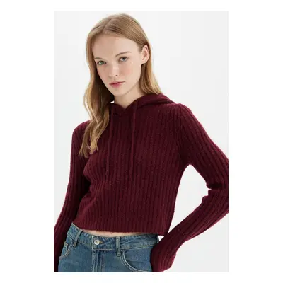 DEFACTO Regular Fit Basic Plain Hooded Crop Knitwear Sweater