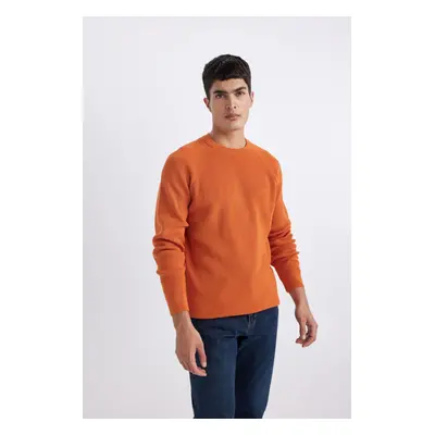 DEFACTO Standard Fit Crew Neck Sweater