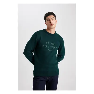 DEFACTO Relax Fit Crew Neck Printed Knitwear Sweater