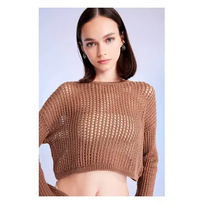 DEFACTO Regular Fit Crew Neck Crochet Openwork Crop Knitwear Sweater