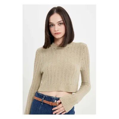 DEFACTO Regular Fit Crop Crew Neck Knitted Hole Knitwear Sweater