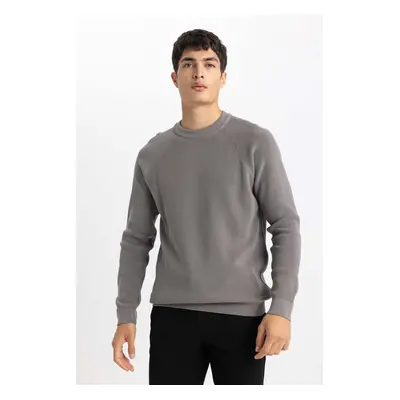 DEFACTO Standard Fit Crew Neck Sweater