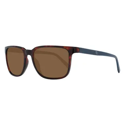 Timberland Sunglasses