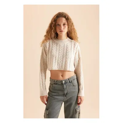 DEFACTO Cool Regular Fit Crew Neck Knitted Sweater