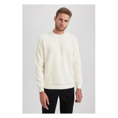 DEFACTO Regular Fit Crew Neck Basic Plain Plush Sweatshirt