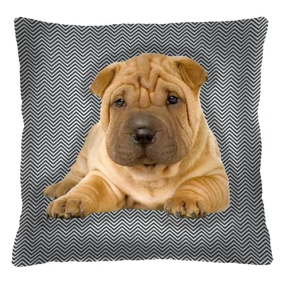 Bertoni Home Unisex's Square Pillow Scott