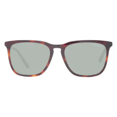 Hackett Sunglasses