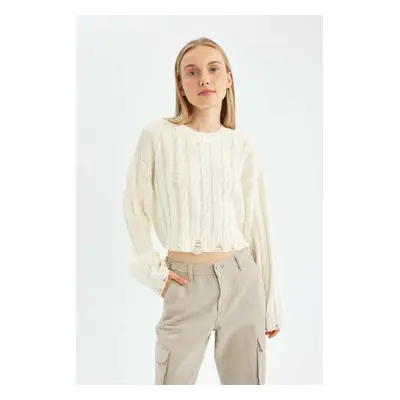 DEFACTO Regular Fit Crew Neck Hair Knitted Sweater