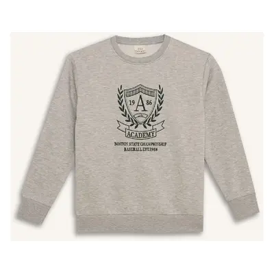 DEFACTO Boy's Crew Neck Printed Soft Furry Sweatshirt